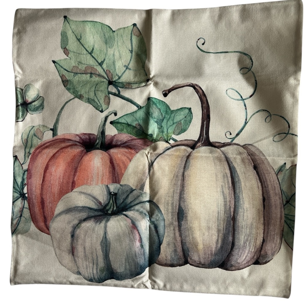 NWT Fall Decor 20 X 20 Pumpkin Print Decorative Pillow Cover indoor/outdoor